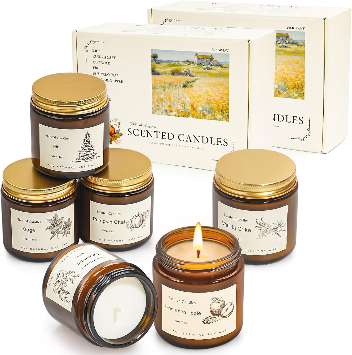 Scented Candles Gift Set for Home, 12 Pack Aromatherapy Soy Candles, 6 Fragrance Scents with 2 Gift Boxes, Long Lasting Small Candles for Relaxation, Bathroom Bedroom Office Gifts for Women